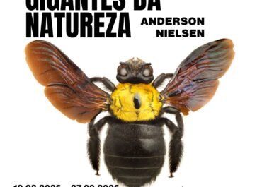 gigantes da natureza andersen nielsen
