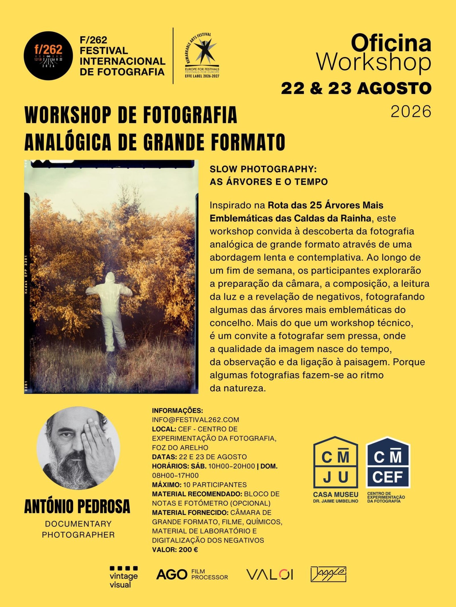 atelier pedrosa